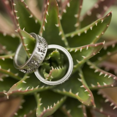 Michigan same sex engagement photo. Two men's wedding bands sitting in a beautiful succulent