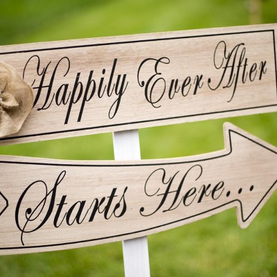 Happily ever after - Michigan Area Wedding Photographer