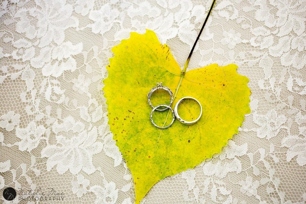 Wedding rings on yellow leaf on lace at Island Park wedding in Ann Arbor