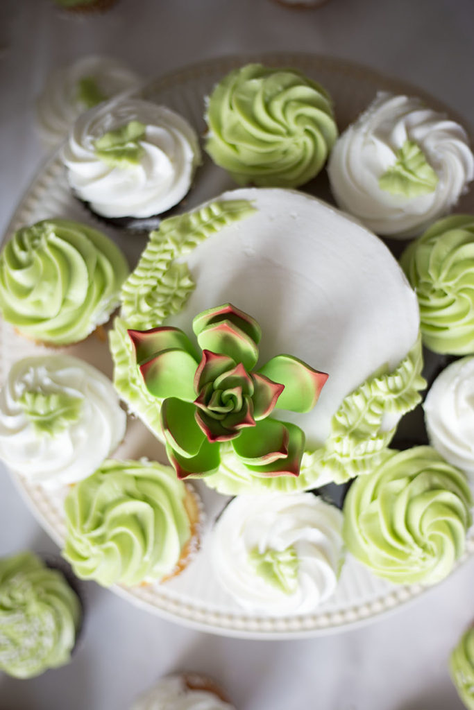 Succulent wedding cake