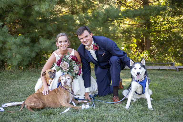 Bride and Groom with their dogs at their Jackson wedding