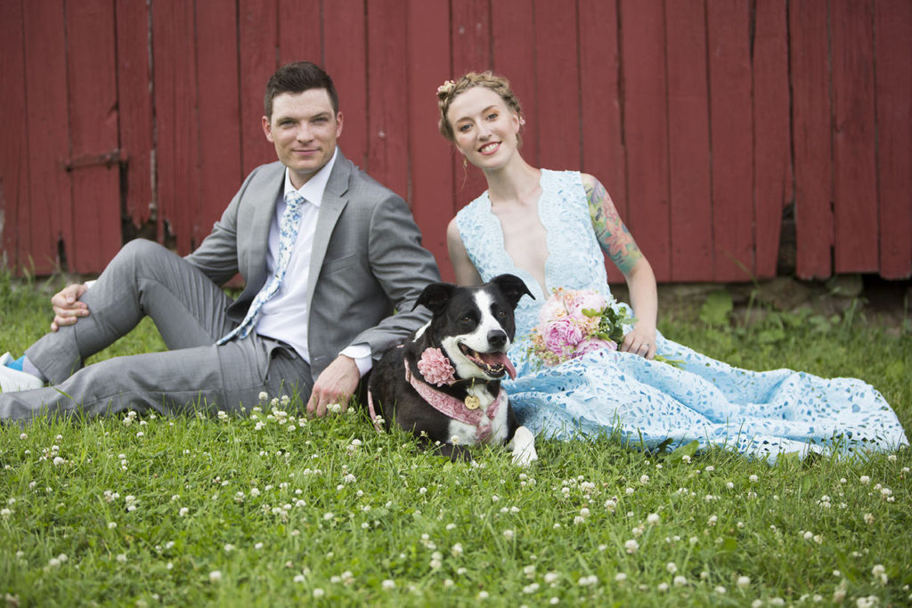 Bride, groom, and their boarder collie pose for a Ypsilanti wedding photographer