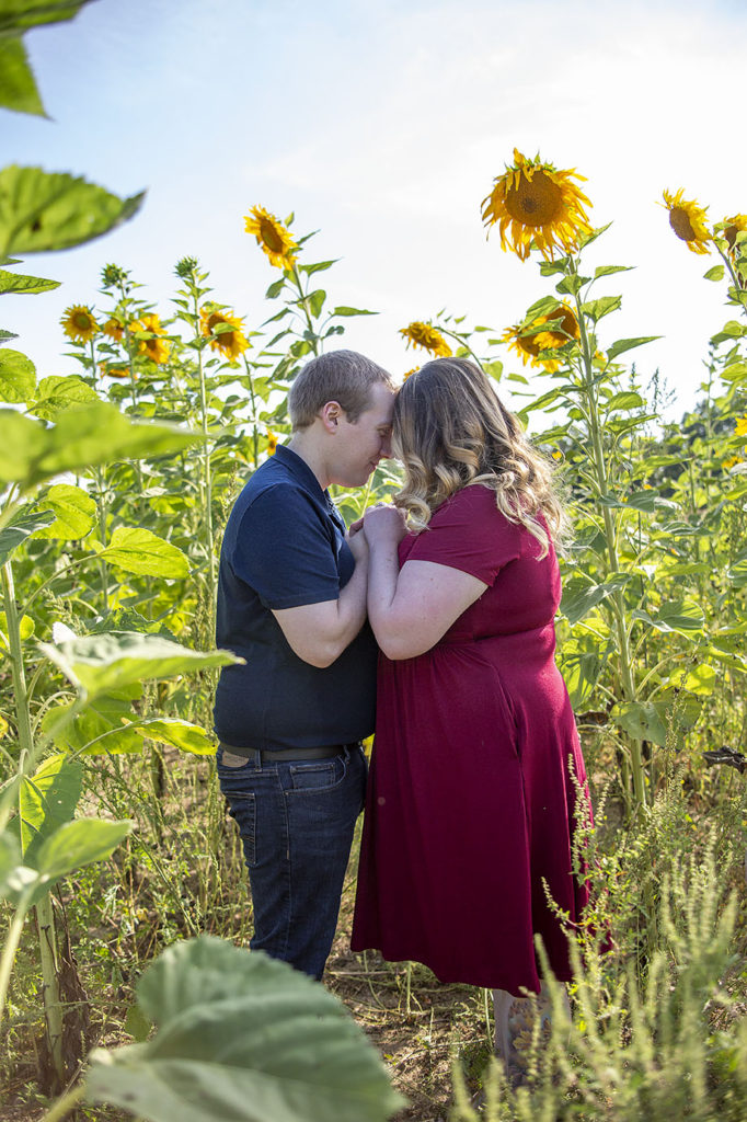 Sunflower engagement session