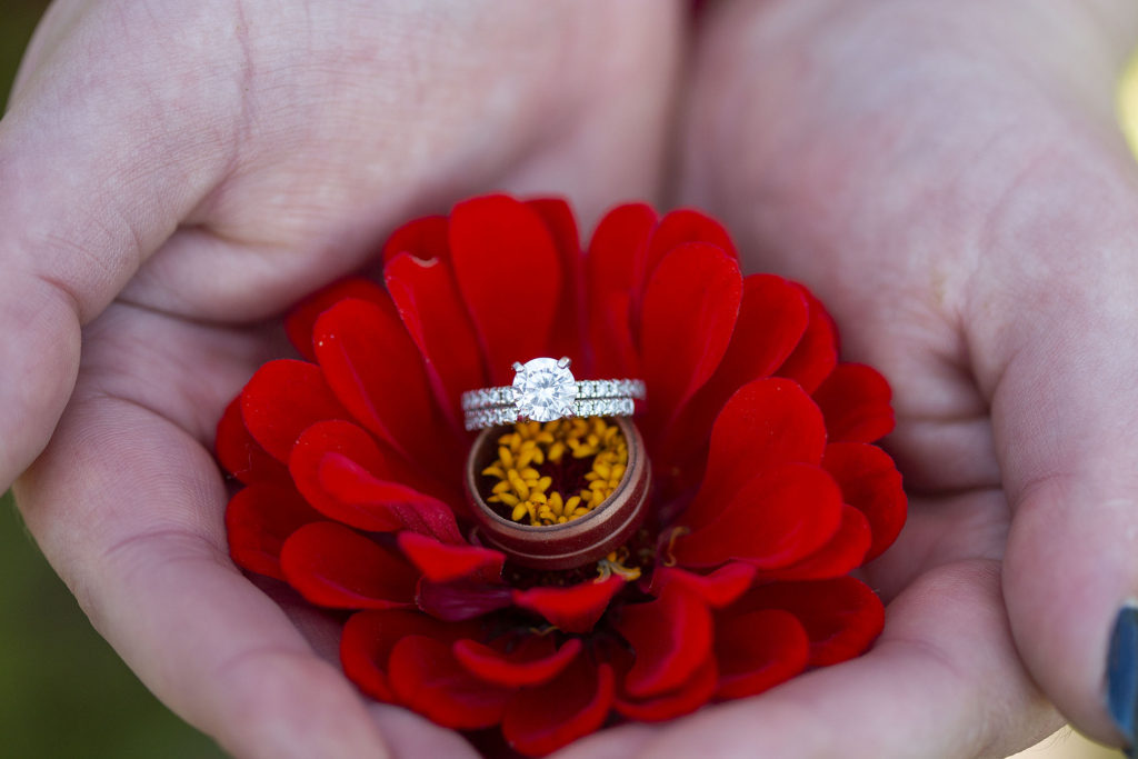 Wedding rings in flower