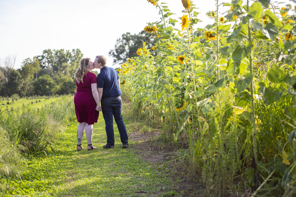 Michigan engagement couple kisses in front of sunflowers