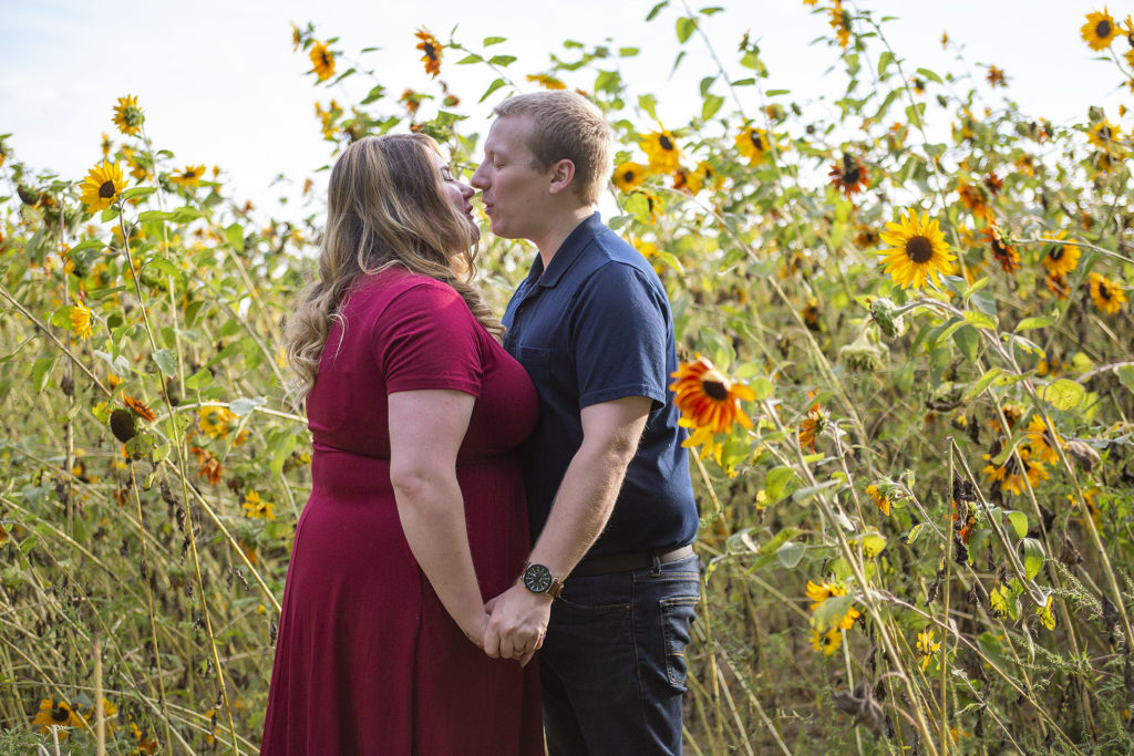 Pinckney couple kisses with mulit color sunflowers