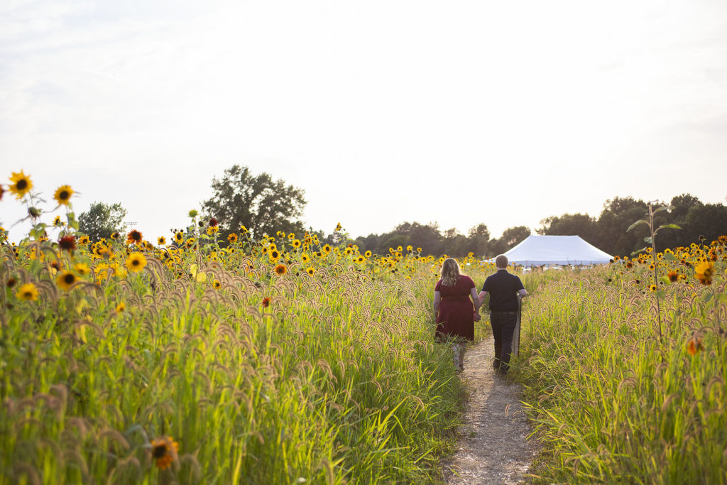 Couple leaving the Pinckney sunflower field at Schell Family Farm