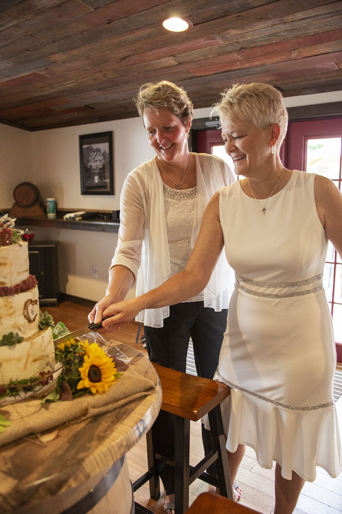 Birch and sunflower cake being cut