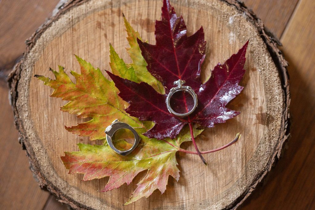 Fall wedding rings on autumn leaves