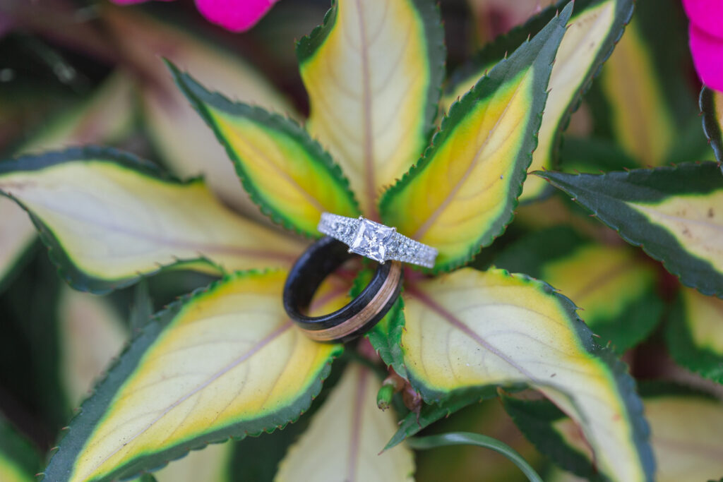 Diamond and wood wedding rings in the middle of a plant during backyard Westland wedding