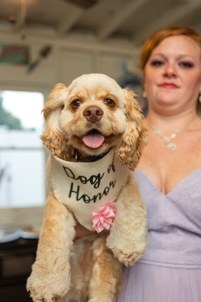 Dog of honor at LGBT wedding in Westland