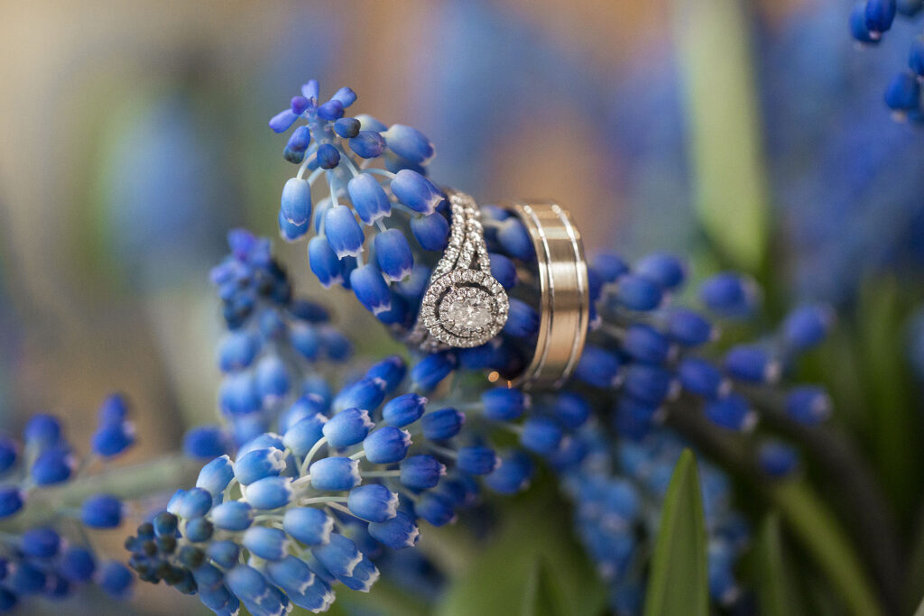 Wedding rings on grape hyacinth