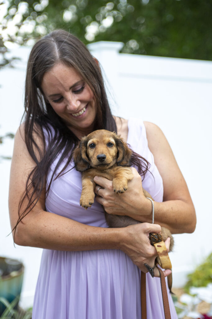 Daschund puppy being held by bridesmaid in lavender dress at Westland wedding