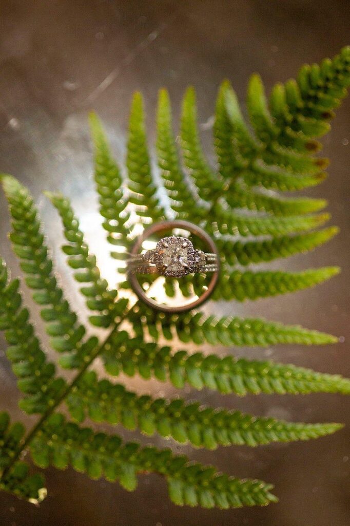 Wedding rings sitting on fern leaf.