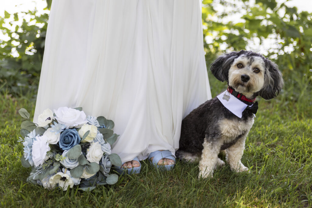 Bride's dog, Dutton, sits next to her at Myers Lake Campground wedding