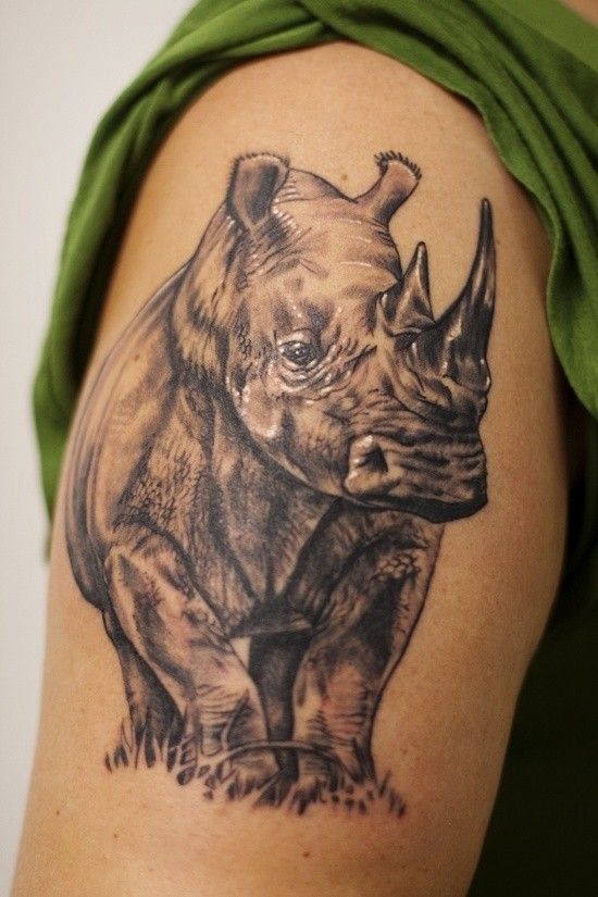 Realistic rhino tattoo bicep black and gray