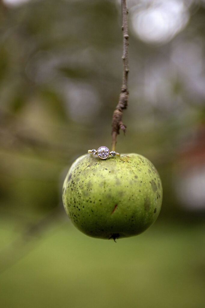 Engagement ring perched upon an apple